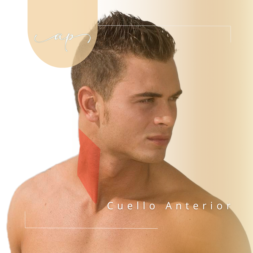 Cuello anterior hombre